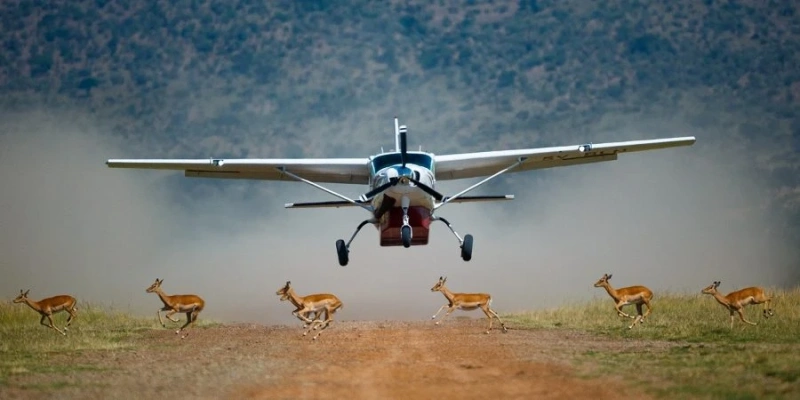 5-Day Kidepo Flying Safari with Abex Safaris and Tours